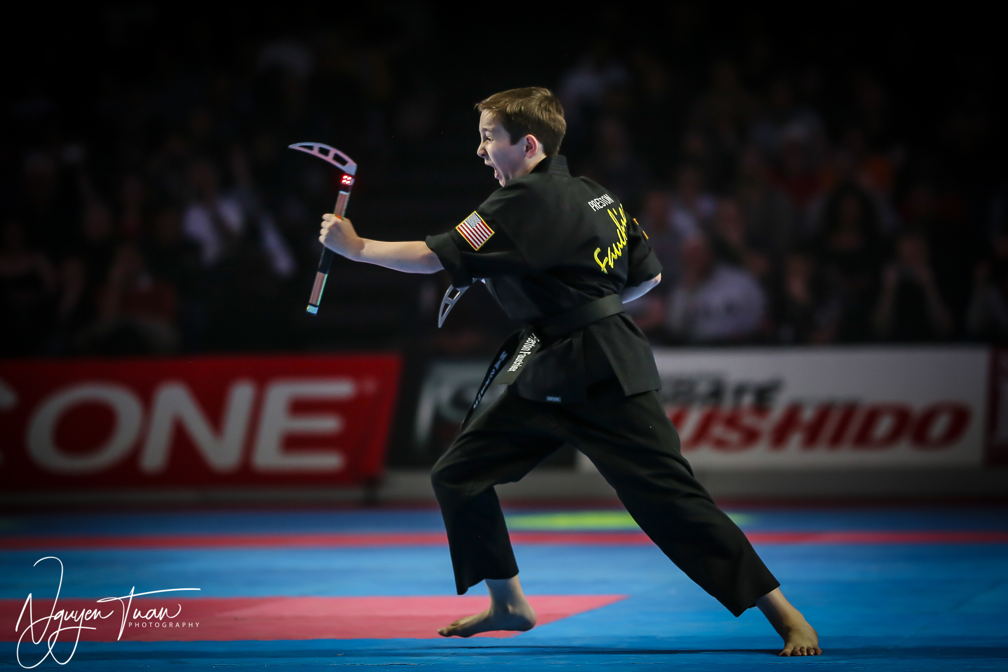 20190324 Festival des Arts Martiaux 4780